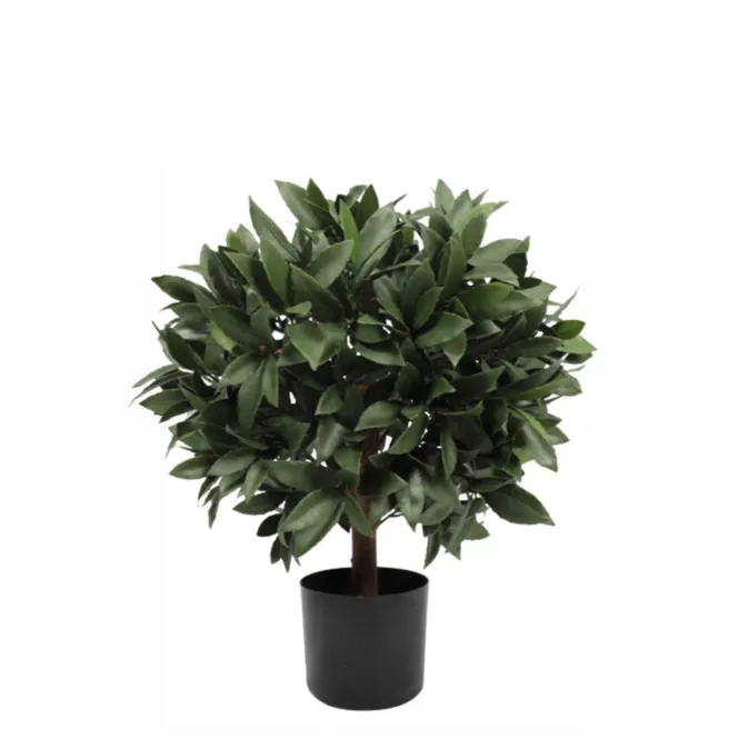 Hovedbilde  Laurbær ball tree – ...
