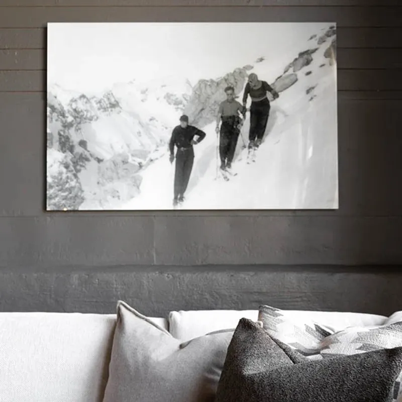  Skiing | Cobra Art